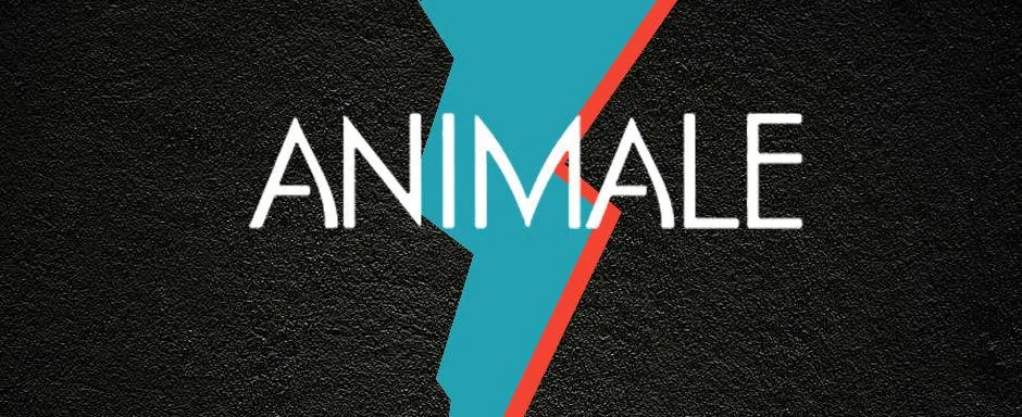 Animale for Men Eau de Toilette